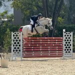 NEC showjumping